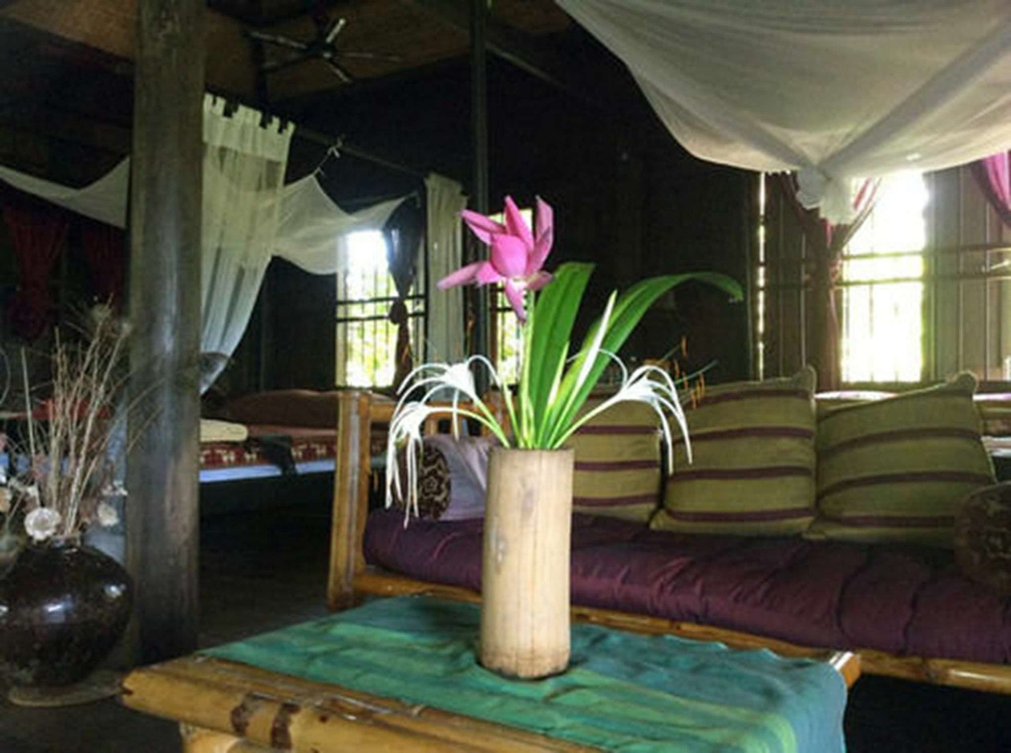 The Bong Thom Homestay Siem Reap Eksteriør billede